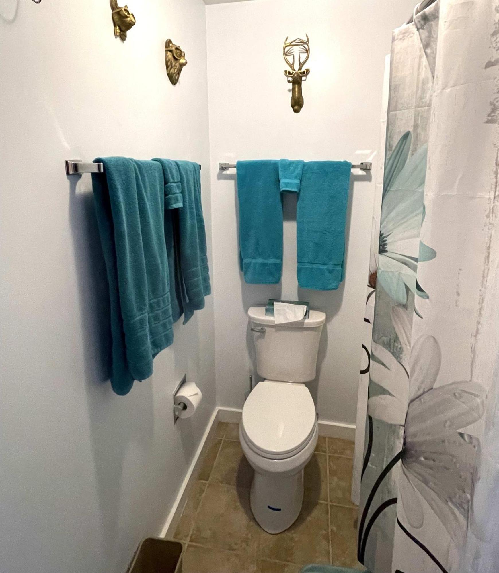 הנקוק Mountain View Suite On Jiminy Peak Ski On Off -New מראה חיצוני תמונה